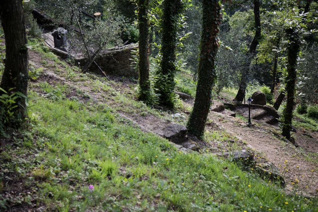 Montefiore Casa Vacanze Daire Lamporecchio Dış mekan fotoğraf